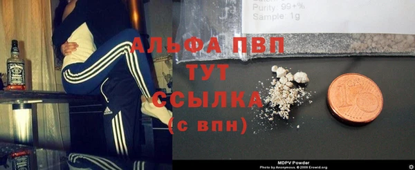 стафф Дмитриев