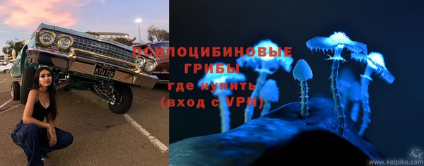 стафф Дмитриев