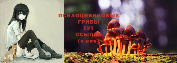 синтетический гашиш Дмитровск