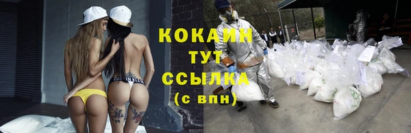 стафф Дмитриев
