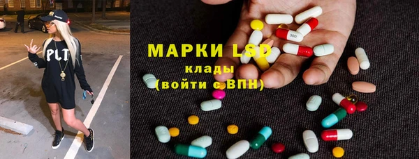 стафф Дмитриев