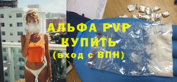 стафф Дмитриев