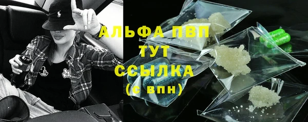 стафф Дмитриев