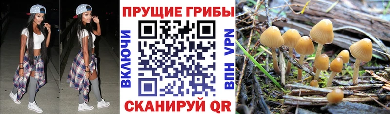 Галлюциногенные грибы мухоморы  Шиханы 